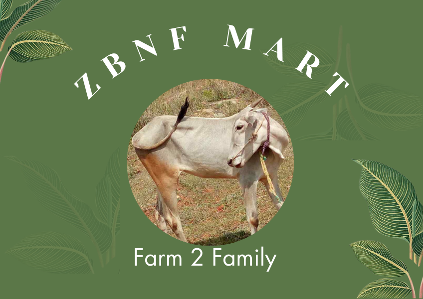 zbnf mart company logo.